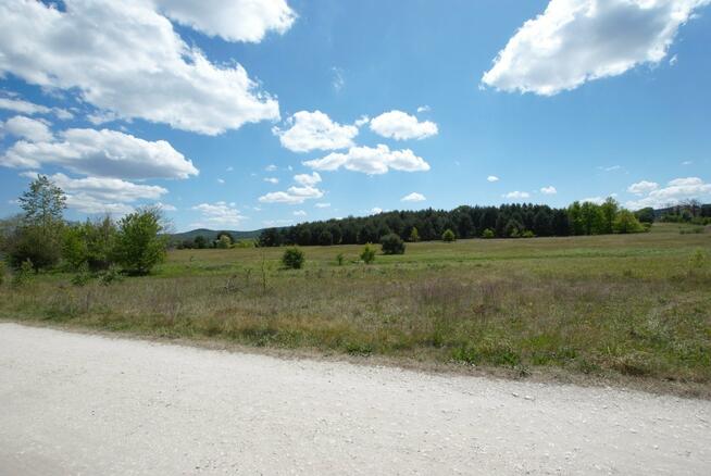 Działka Kielce Białogon, Aleksandrówka