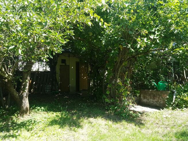 ogródek działkowy ROD lepsze jutro wrocław, ołbin