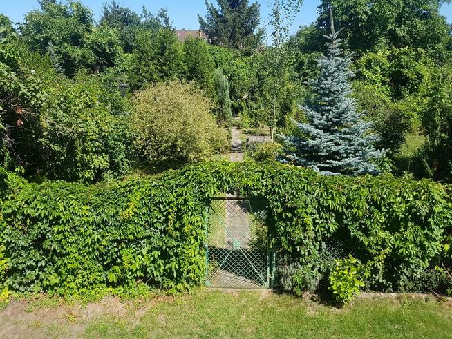 ogródek działkowy ROD lepsze jutro wrocław, ołbin
