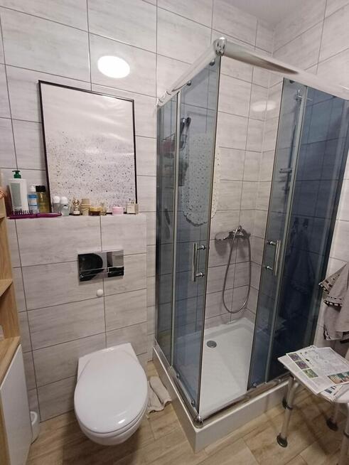 Dom z siedliskiem 1,5ha Mniów Kielce Borki