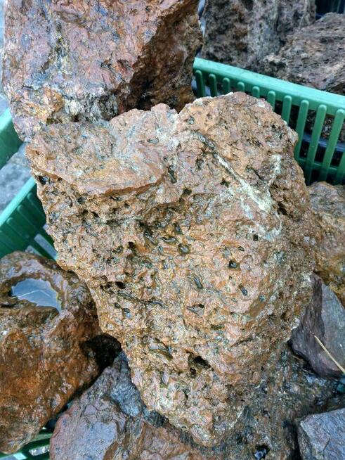 Skałki do akwarium terrarium dla pyszczaków