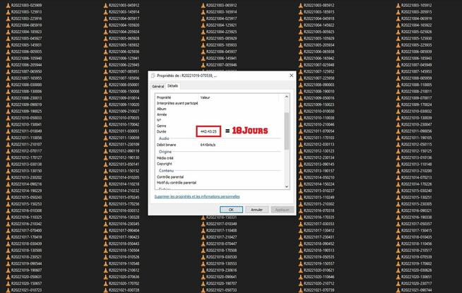 Mikrofon szpiegowski o bardzo dużej pojemności (20 dni)