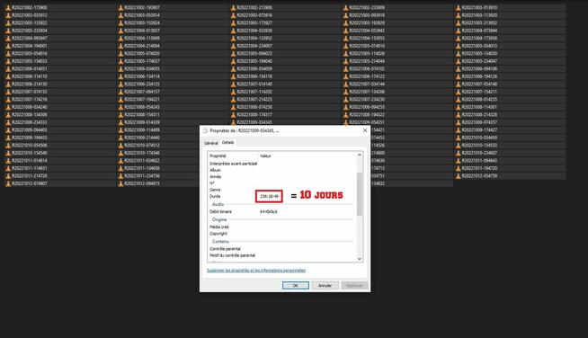 Mikrofon szpiegowski o bardzo dużej pojemności (10 dni)