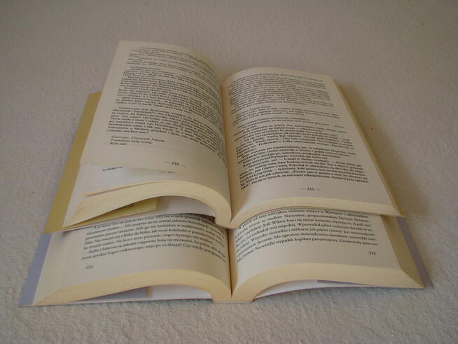 M. Kalicińska Dom nad rozlewiskiem, Miłość nad rozlewiskiem