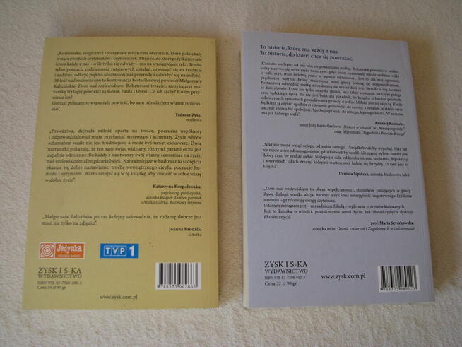 M. Kalicińska Dom nad rozlewiskiem, Miłość nad rozlewiskiem