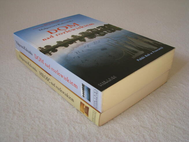 M. Kalicińska Dom nad rozlewiskiem, Miłość nad rozlewiskiem