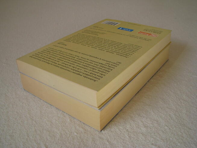 M. Kalicińska Dom nad rozlewiskiem, Miłość nad rozlewiskiem