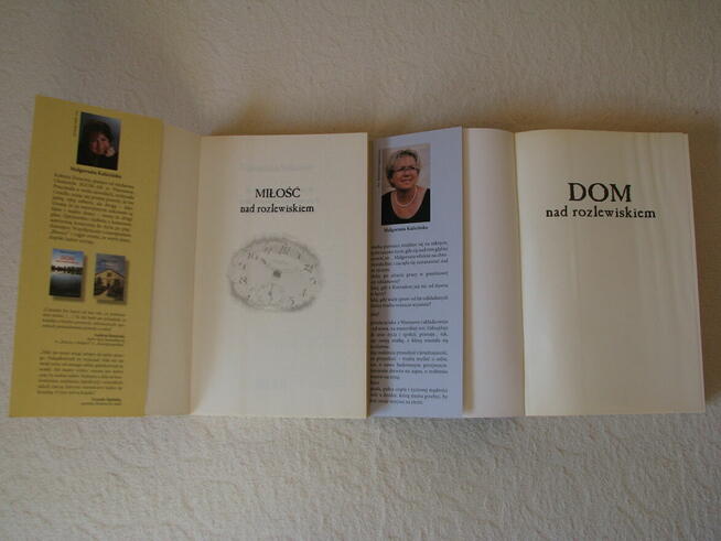 M. Kalicińska Dom nad rozlewiskiem, Miłość nad rozlewiskiem