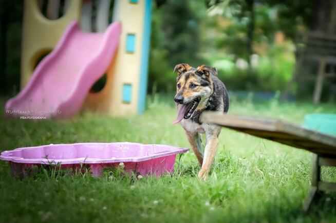 Hejże - ja nie mam jeszcze domku - adoptujesz? - Sara