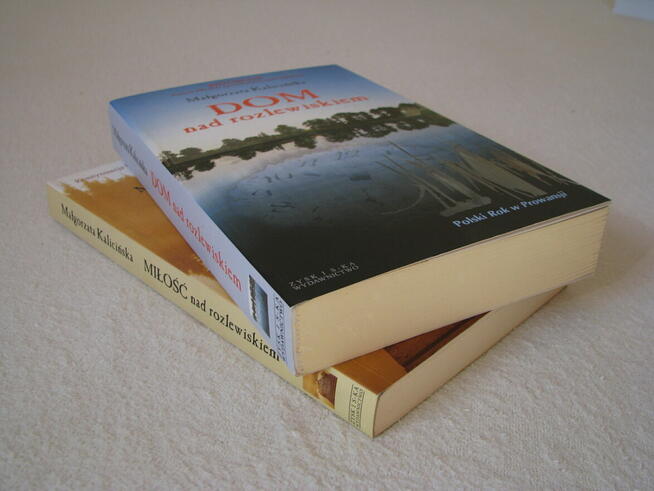 M. Kalicińska Dom nad rozlewiskiem, Miłość nad rozlewiskiem