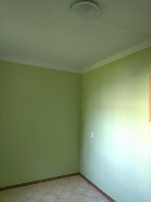 mieszkanie bezczynszowe 80mkw do wynajęcia