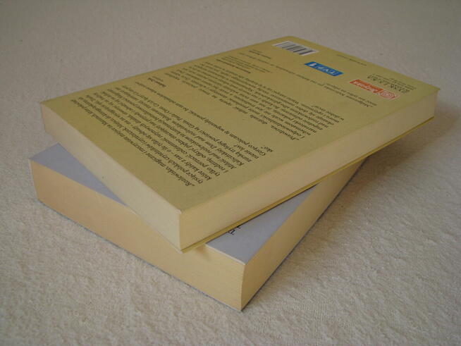 M. Kalicińska Dom nad rozlewiskiem, Miłość nad rozlewiskiem