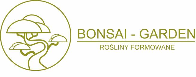 Sosna formowana Nr. 9 NIWAKI, BONSAI OGRODOWE, Topiary