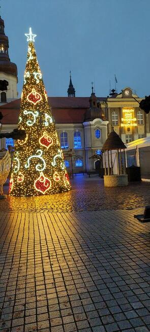 UKRAINKĘ do ZWIĄZKU - POZNAM