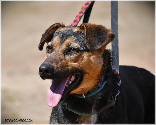 Berka – kolejna zwykła/niezwykła podpalanka - pokochaj