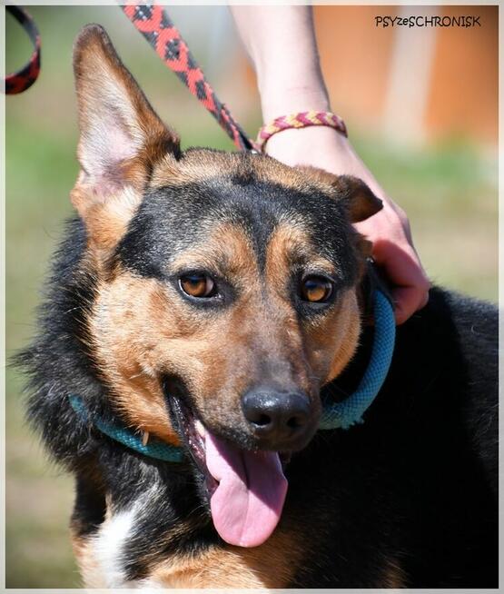 Berka – kolejna zwykła/niezwykła podpalanka - pokochaj