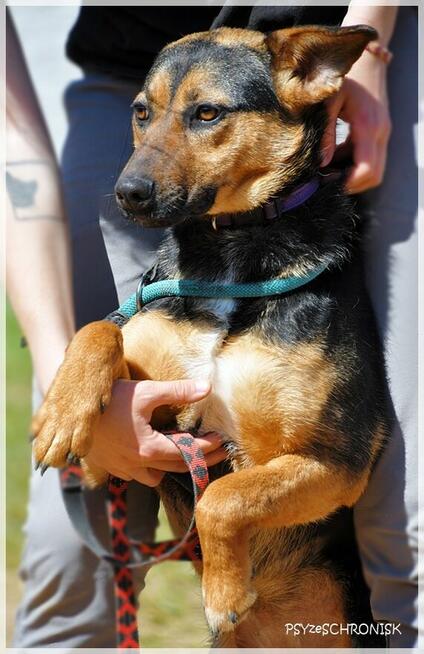 Berka – kolejna zwykła/niezwykła podpalanka - pokochaj