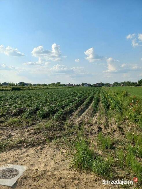 Działka 5270 m² w Ładach, blisko Warszawy