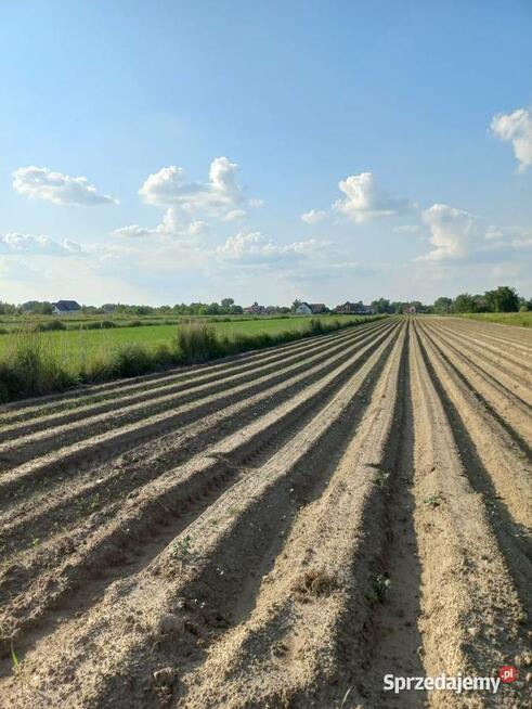 Działka 2190 m² w Ładach, blisko Warszawy