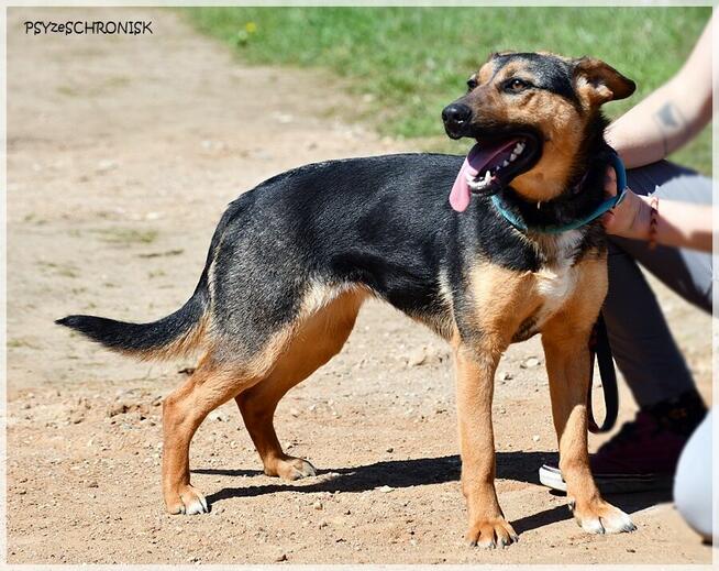 Berka – kolejna zwykła/niezwykła podpalanka - pokochaj