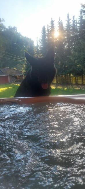 UKRAINKĘ do ZWIĄZKU - POZNAM