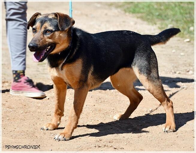 Berka – kolejna zwykła/niezwykła podpalanka - pokochaj