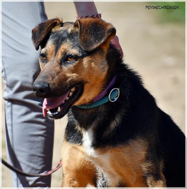 Berka – kolejna zwykła/niezwykła podpalanka - pokochaj