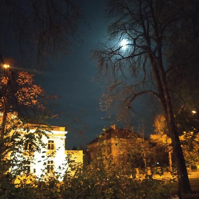 Dla poznania.