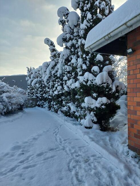 UKRAINKĘ do ZWIĄZKU - POZNAM