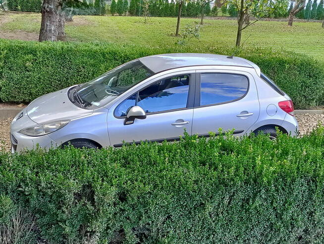 Peugeot 207, salon PL