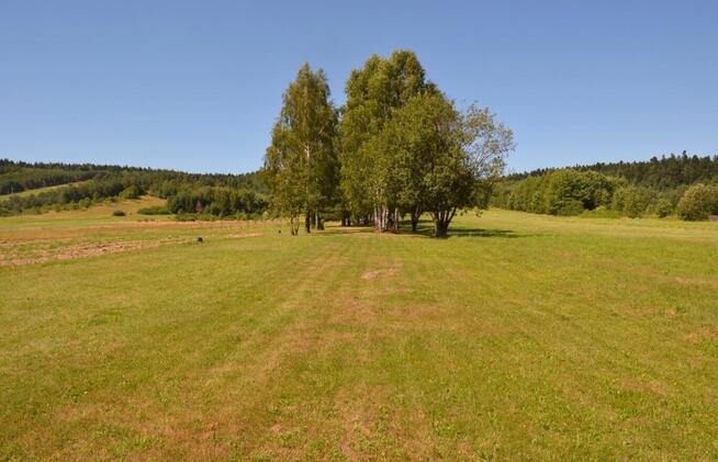 Nieruchomość zabudowana dwoma domami w zabudowie szeregowej