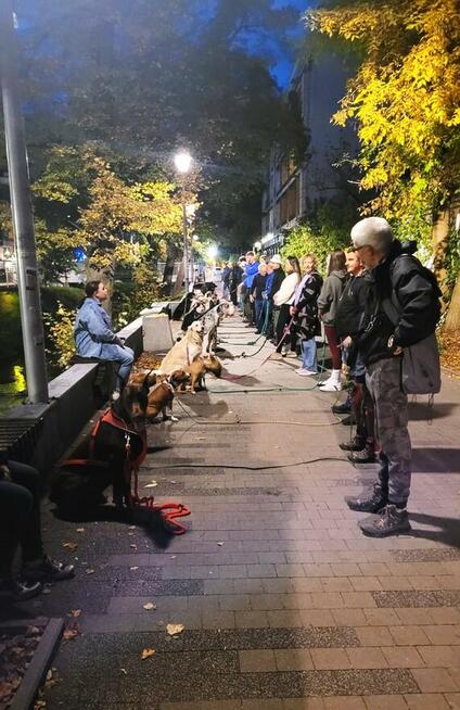 Szkolenie psów Kielce www.szkoleniepsowkielce.eu