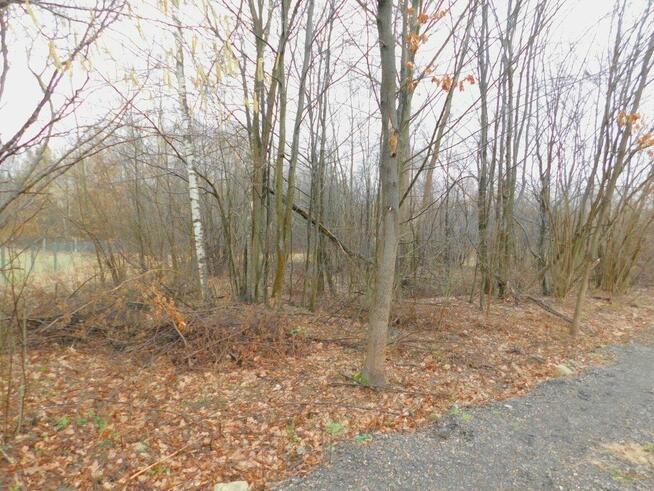 Syndyk sprzeda - Stefanków