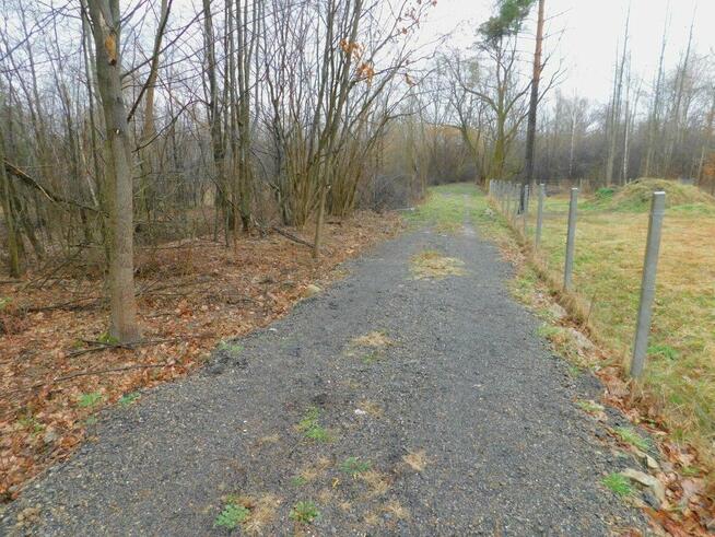 Syndyk sprzeda - Stefanków