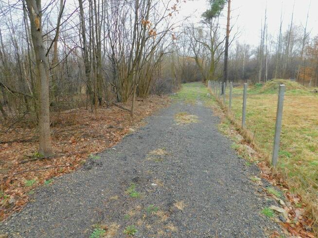 Syndyk sprzeda - Stefanków