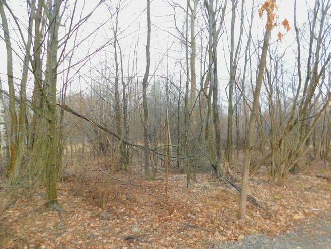 Syndyk sprzeda - Stefanków