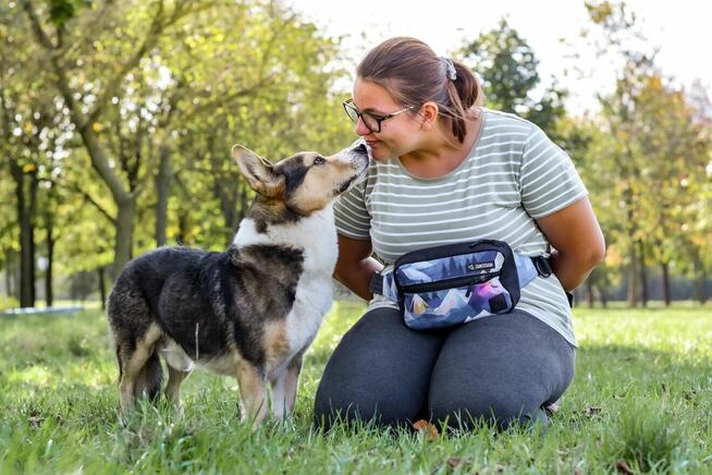 Dracula-niskopodłogowy psiak do adopcji