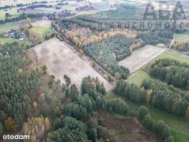 Działki rolne na sprzedaż - Myślibórz, Kolno gm. Golina