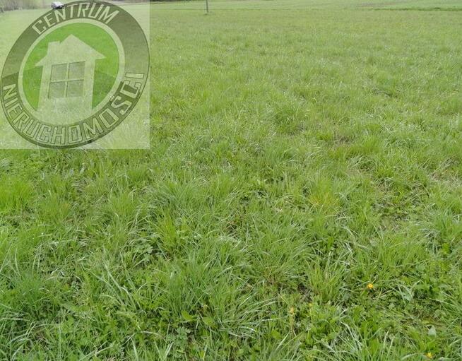 Działka rolno-budowlana Łęki gm. Łososina Dolna