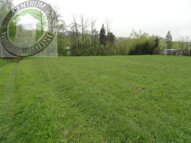 Działka rolno-budowlana Łęki gm. Łososina Dolna