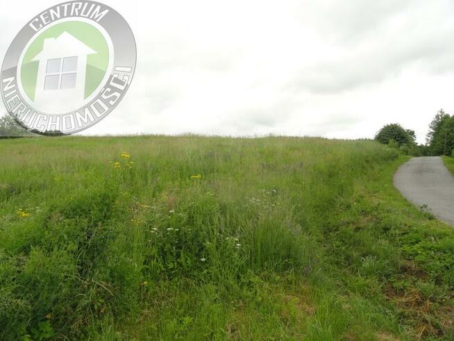 Działka budowlana Wojnarowa gm. Korzenna