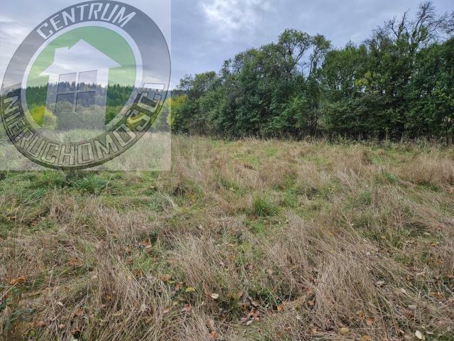 Działka rolno-budowlana Kamienica