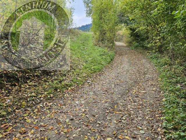 Działka rolno-budowlana Kamienica