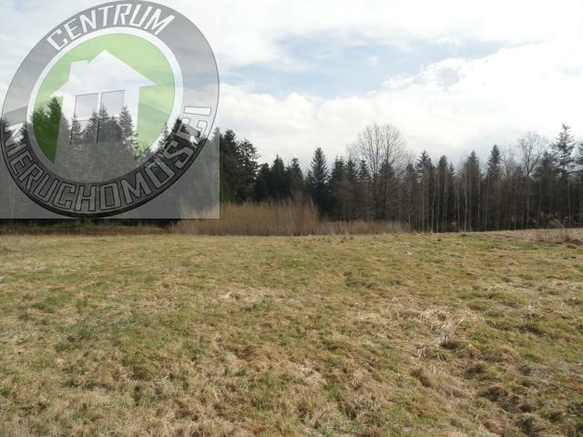 Działka budowlana Paszyn gm. Chełmiec
