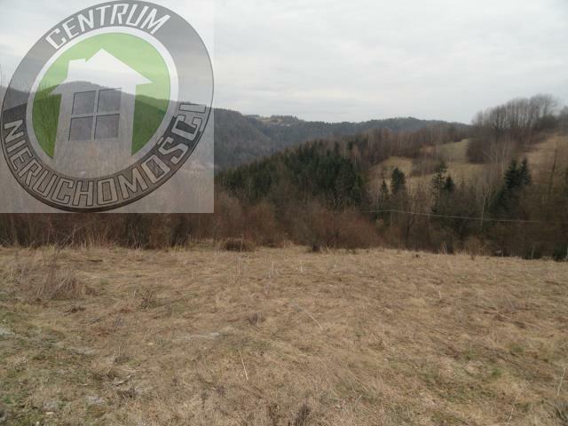Działka budowlana Ochotnica Dolna