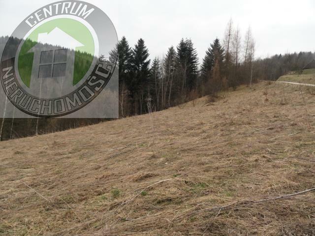 Działka budowlana Ochotnica Dolna