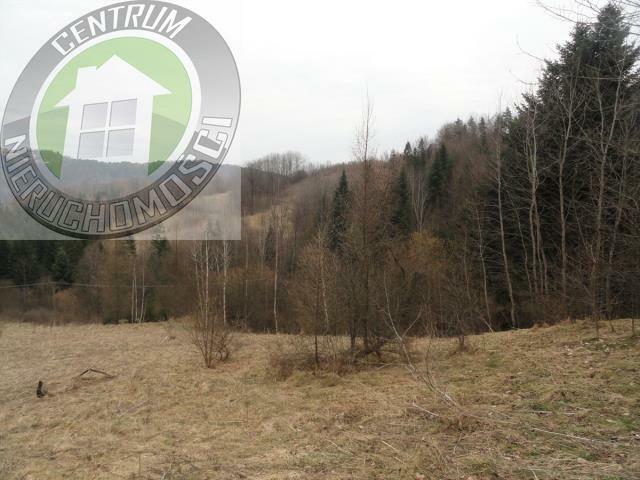 Działka budowlana Ochotnica Dolna