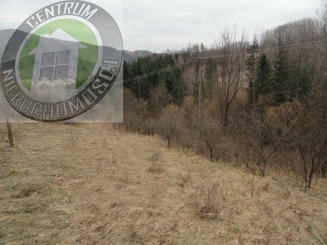 Działka budowlana Ochotnica Dolna