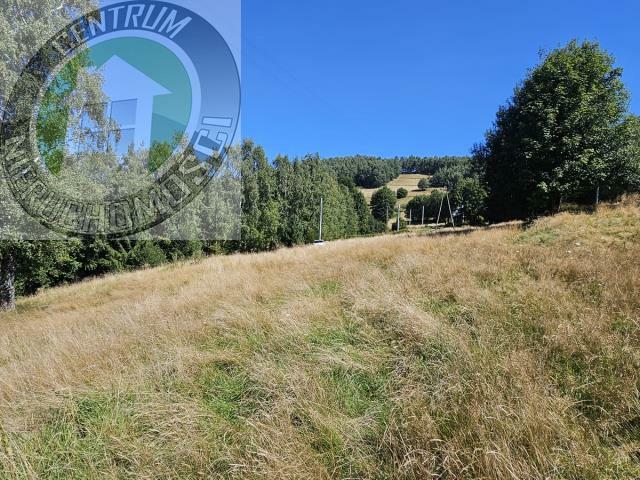 Działka budowlana Piwniczna