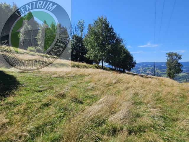 Działka budowlana Piwniczna